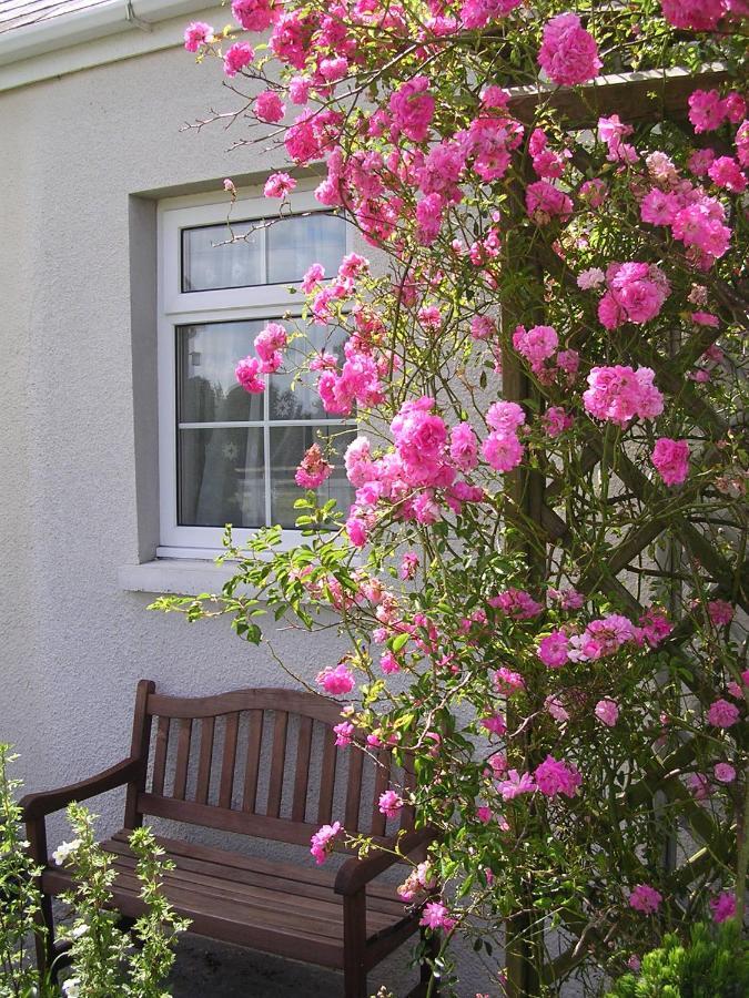 Glascoed Farmhouse Carmarthen Exterior foto